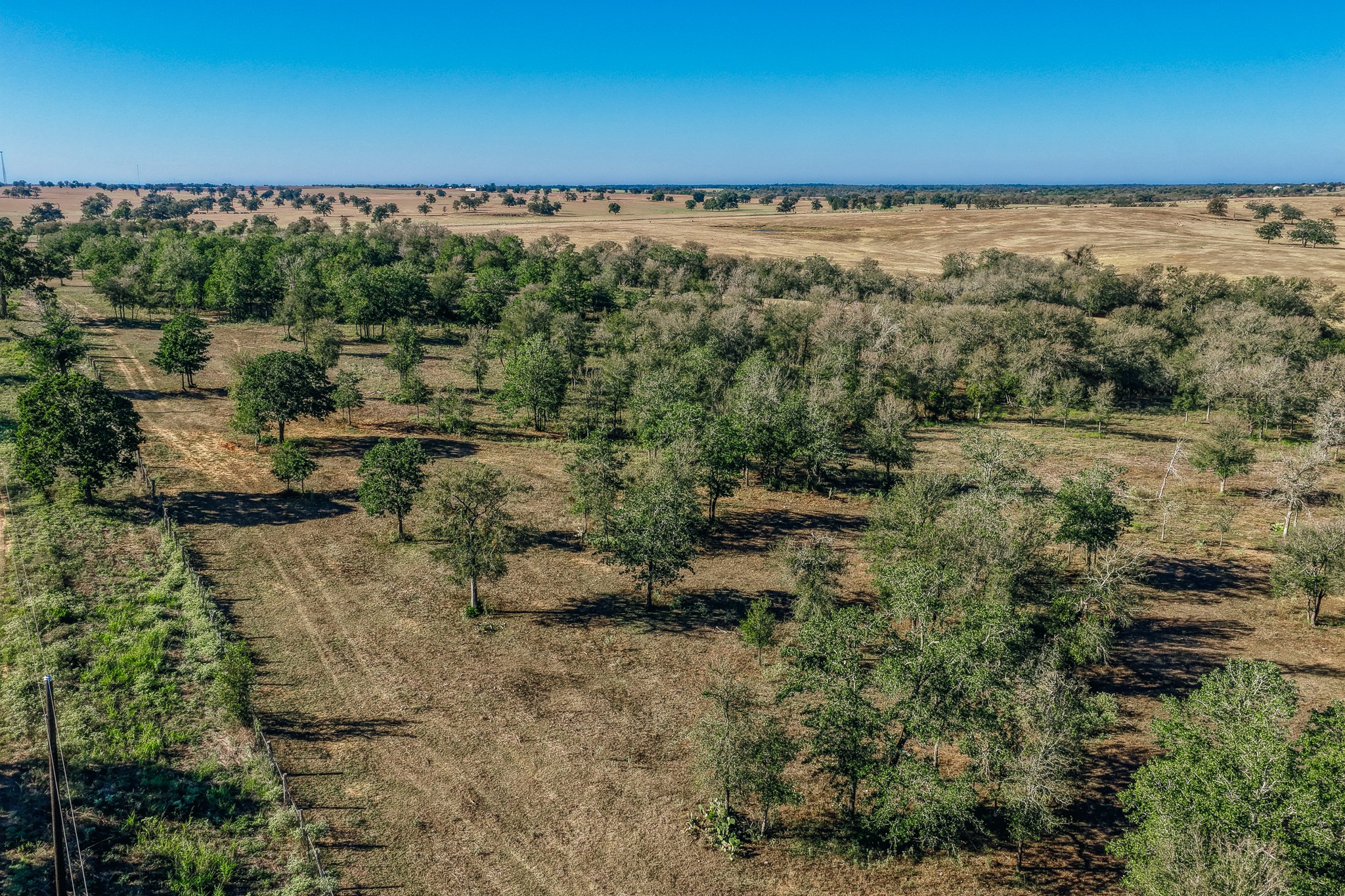 Tbd Walter Hoffman Road Property Photo 41