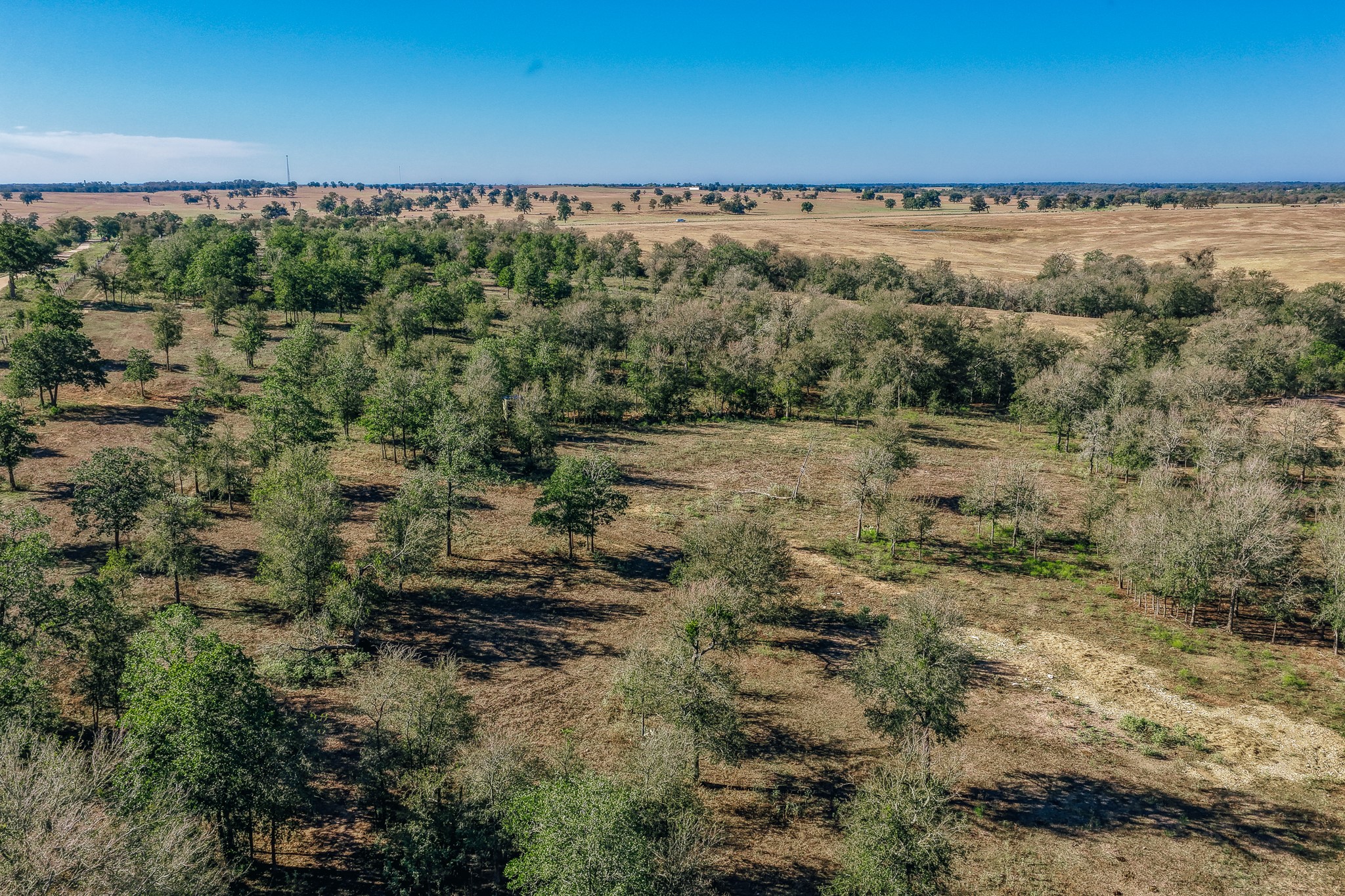 Tbd Walter Hoffman Road Property Photo 42