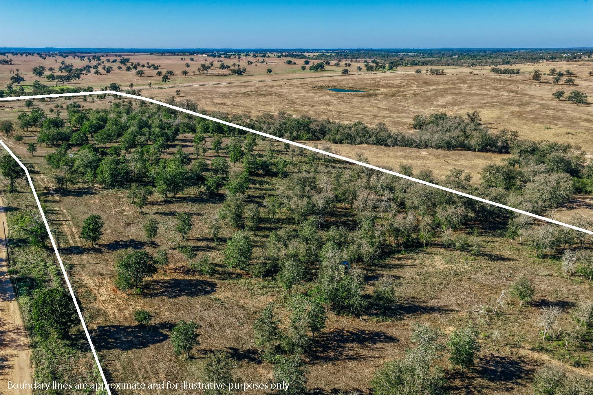 Tbd Walter Hoffman Road Property Photo 48
