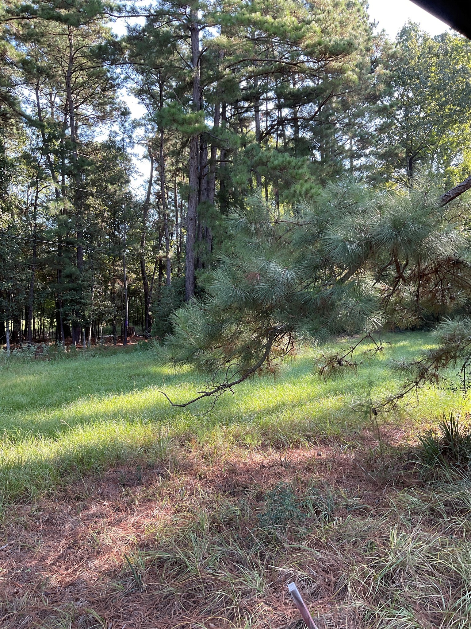34 Stones Edge Property Photo 7