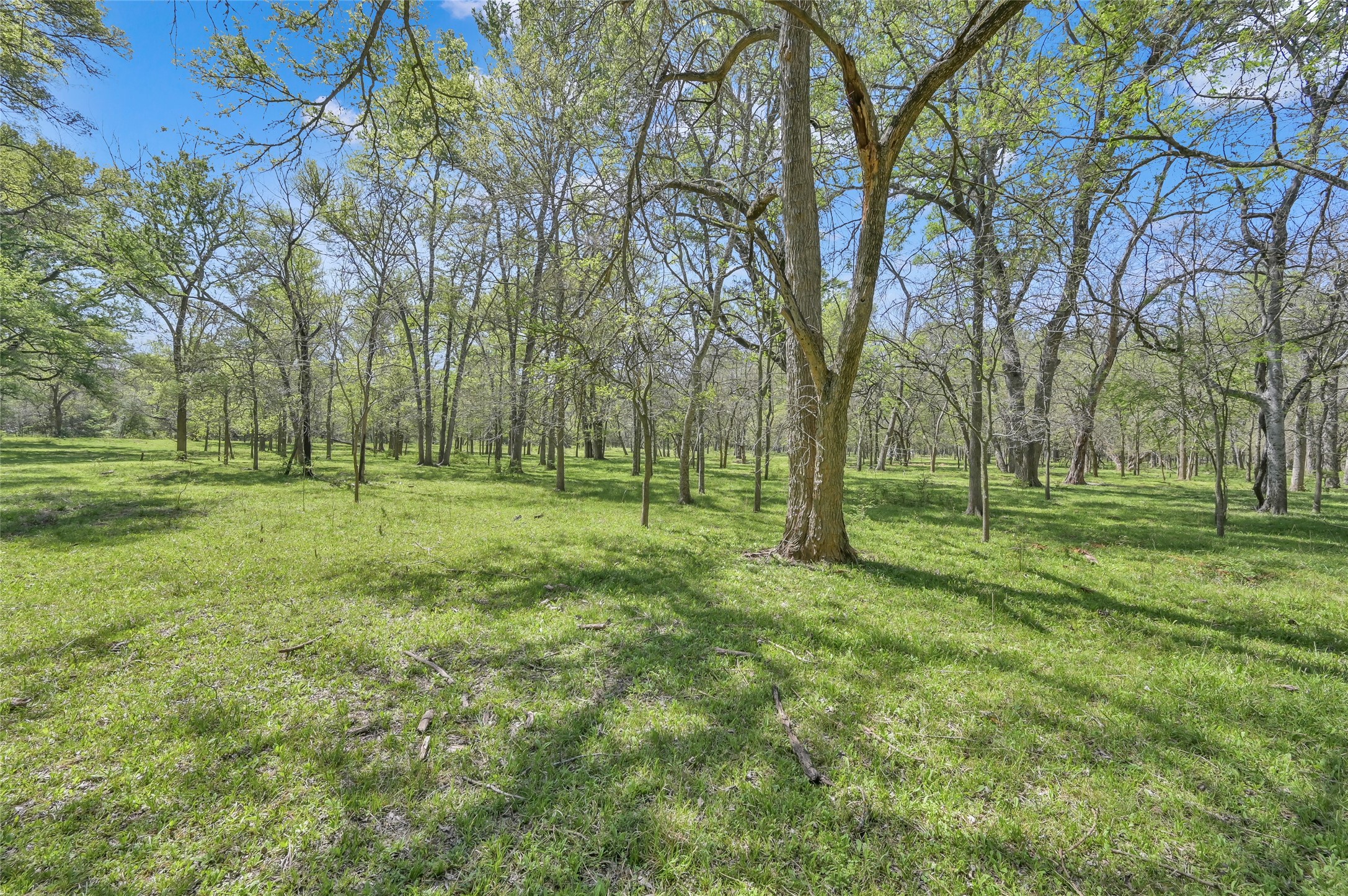 1111 S Hickory Loop Property Photo 7