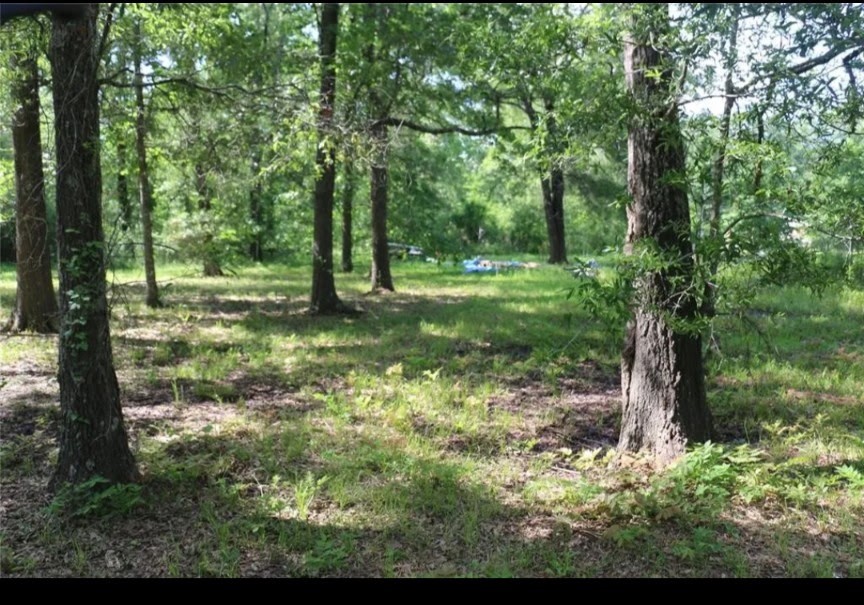 211 Panther Lane Property Photo 3