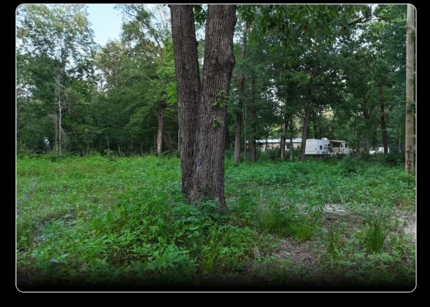 211 Panther Lane Property Photo 4
