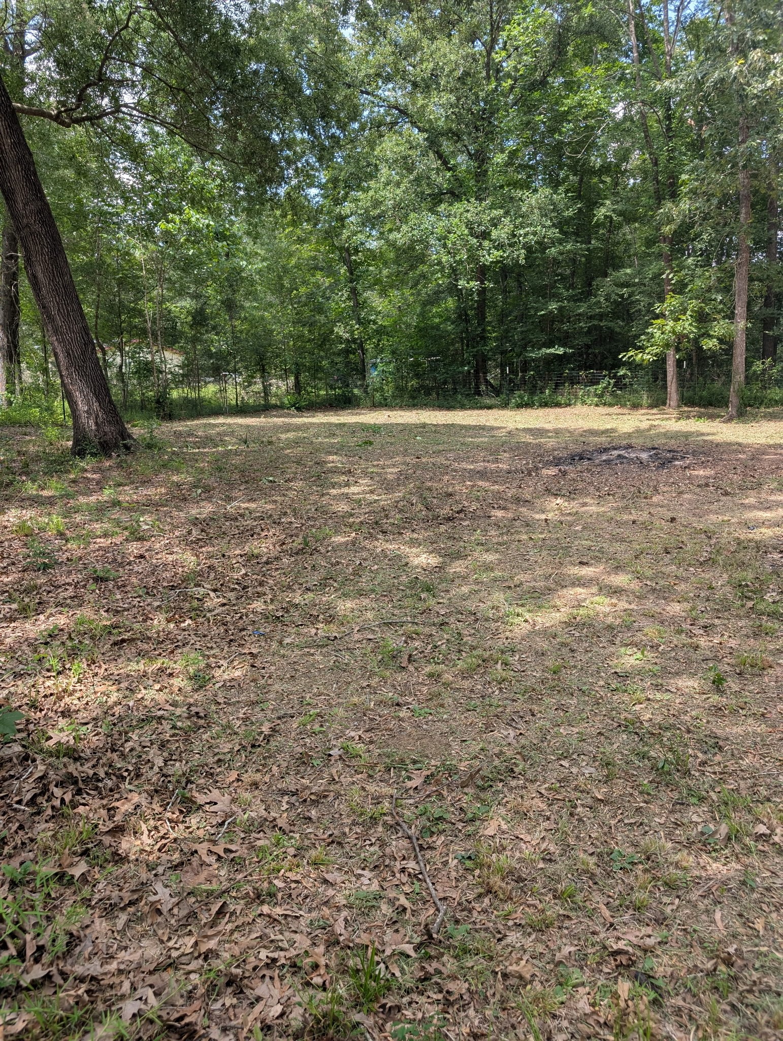 211 Panther Lane Property Photo 6
