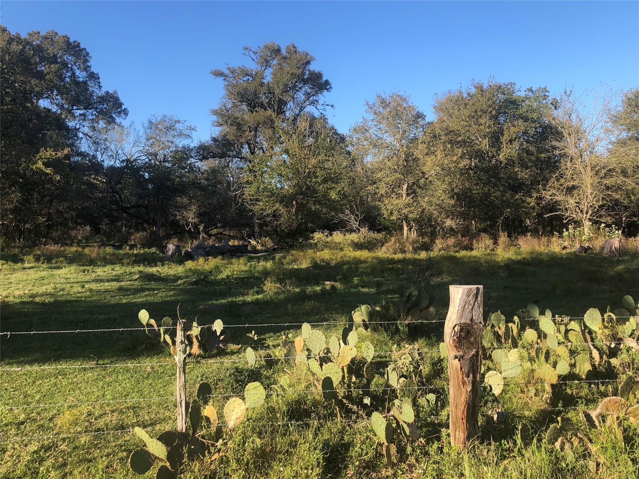 0 Kickler Road Property Photo