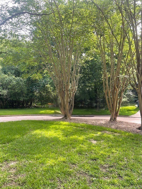 Walden 10 Pebble Beach Circle Property Photo 2