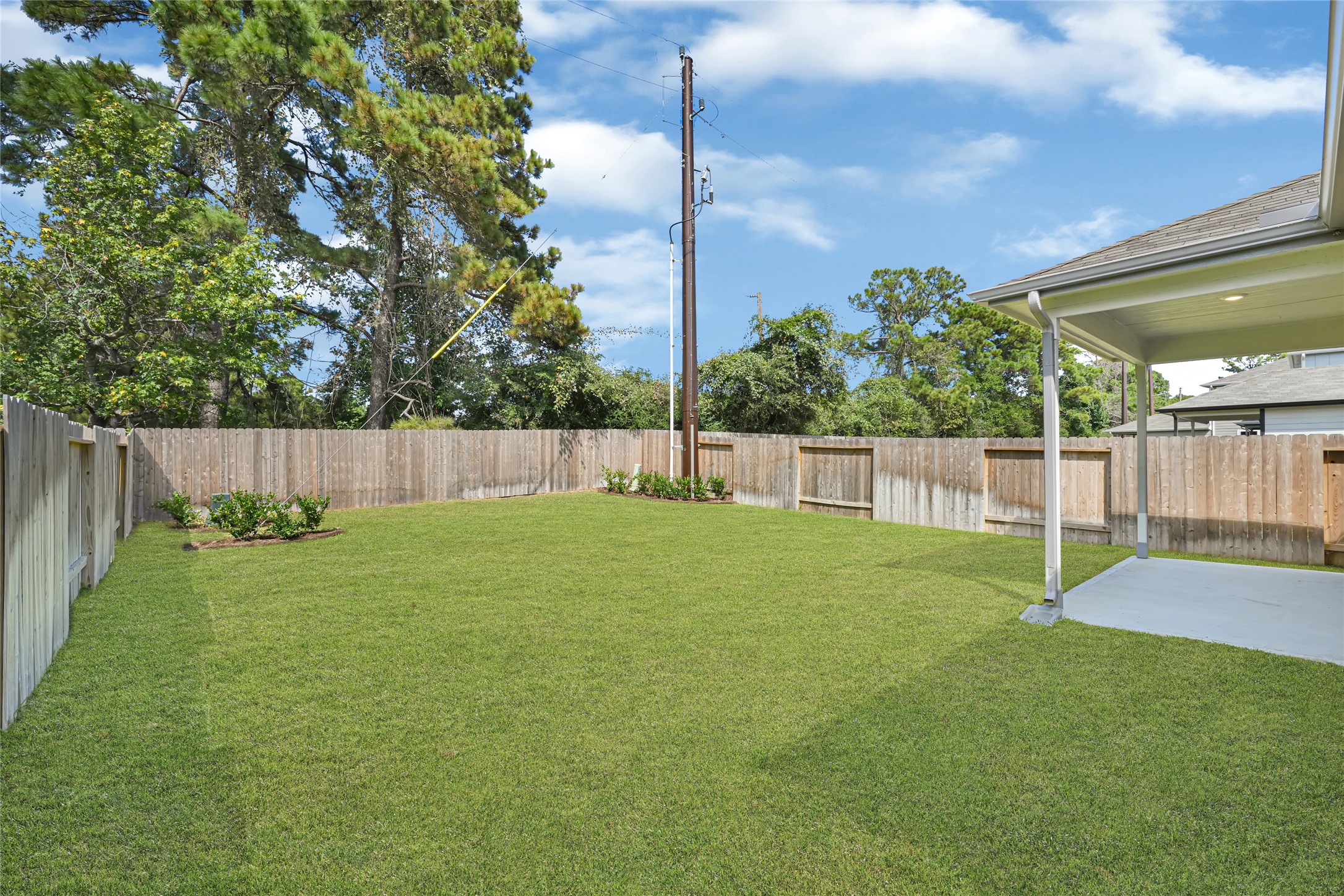 26415 Cedar Sedge Drive Property Photo 4