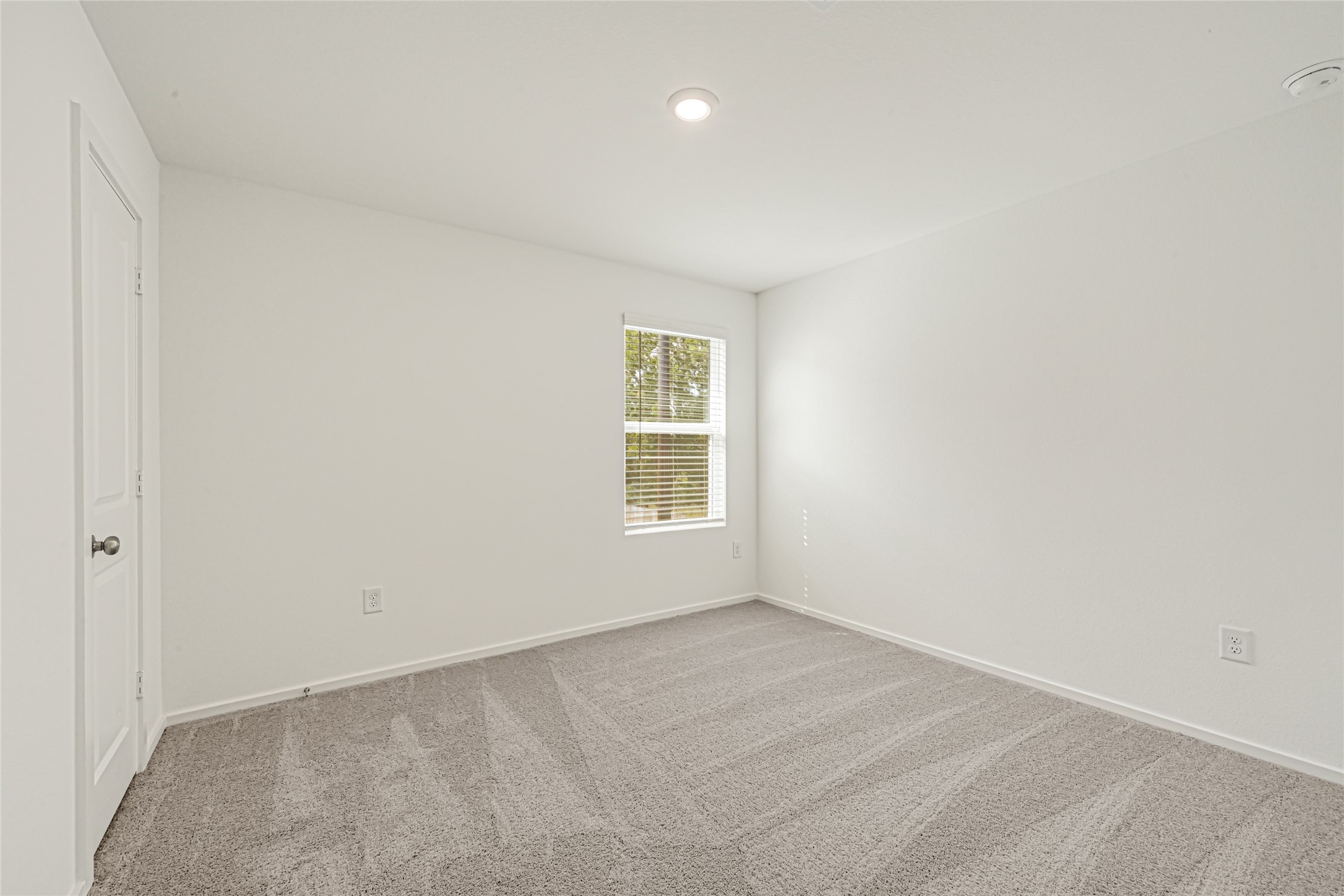 26415 Cedar Sedge Drive Property Photo 27
