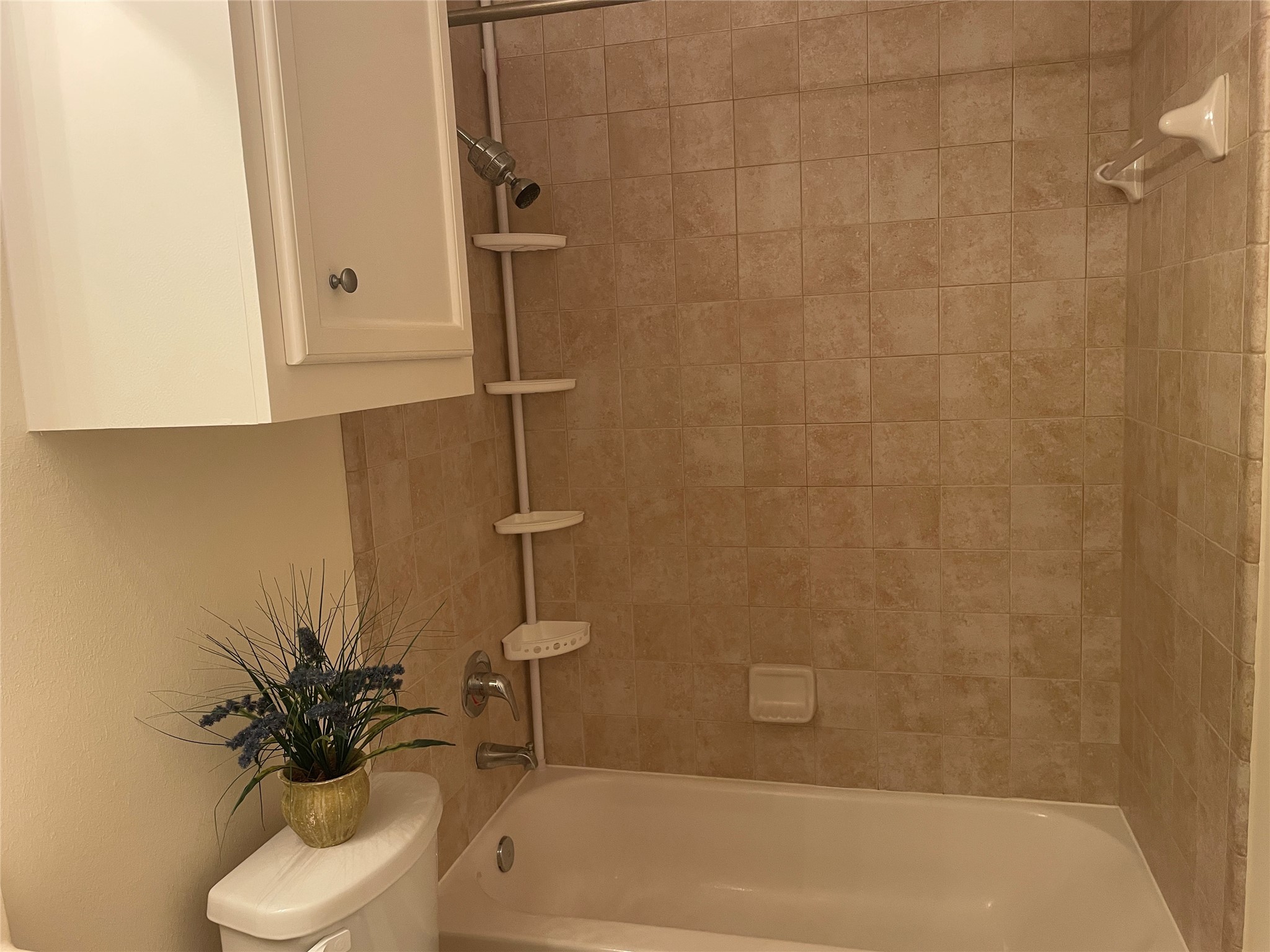 3704 Main Aspen Drive Property Photo 23