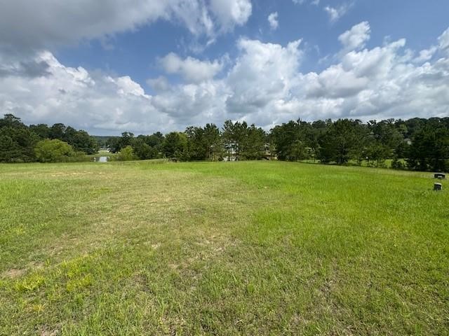 37 Silver Lakes Drive Property Photo 2