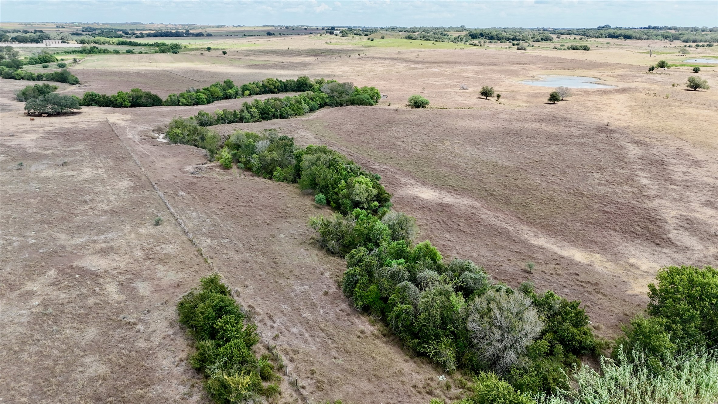 Tract 2 County Road 366 Property Photo 2