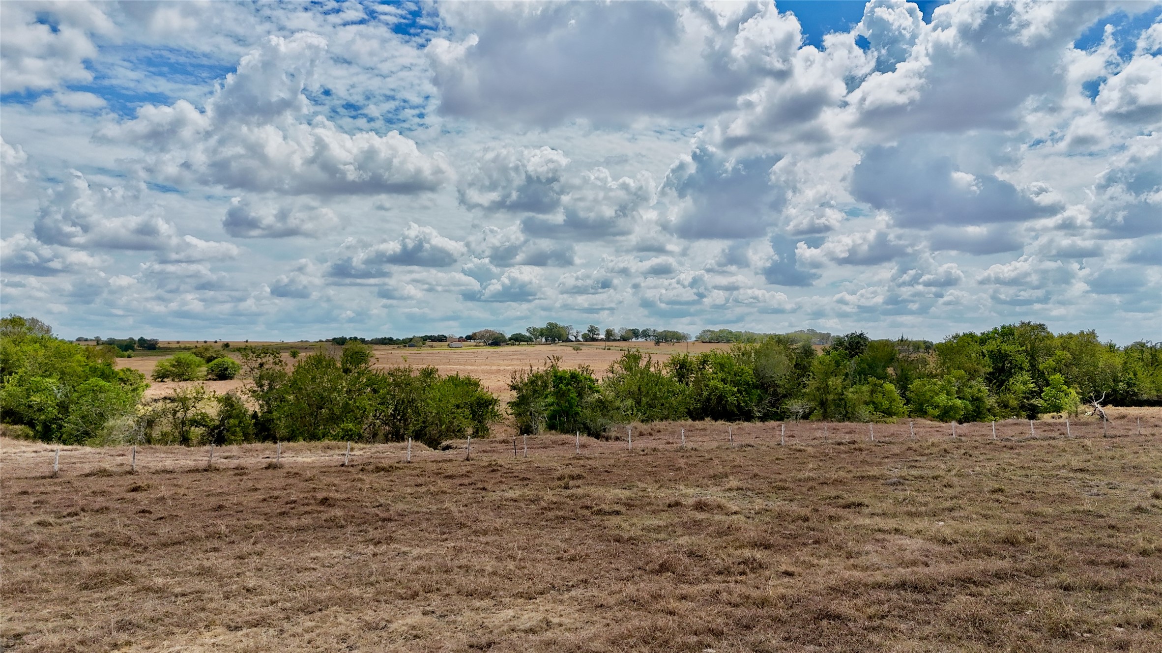 Tract 2 County Road 366 Property Photo 6