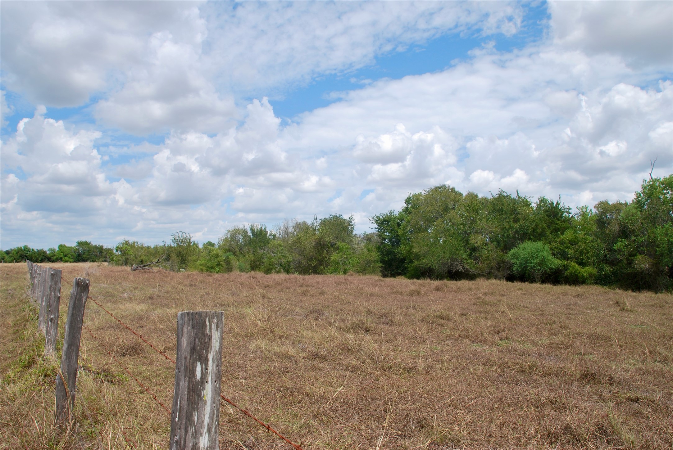 Tract 2 County Road 366 Property Photo 10