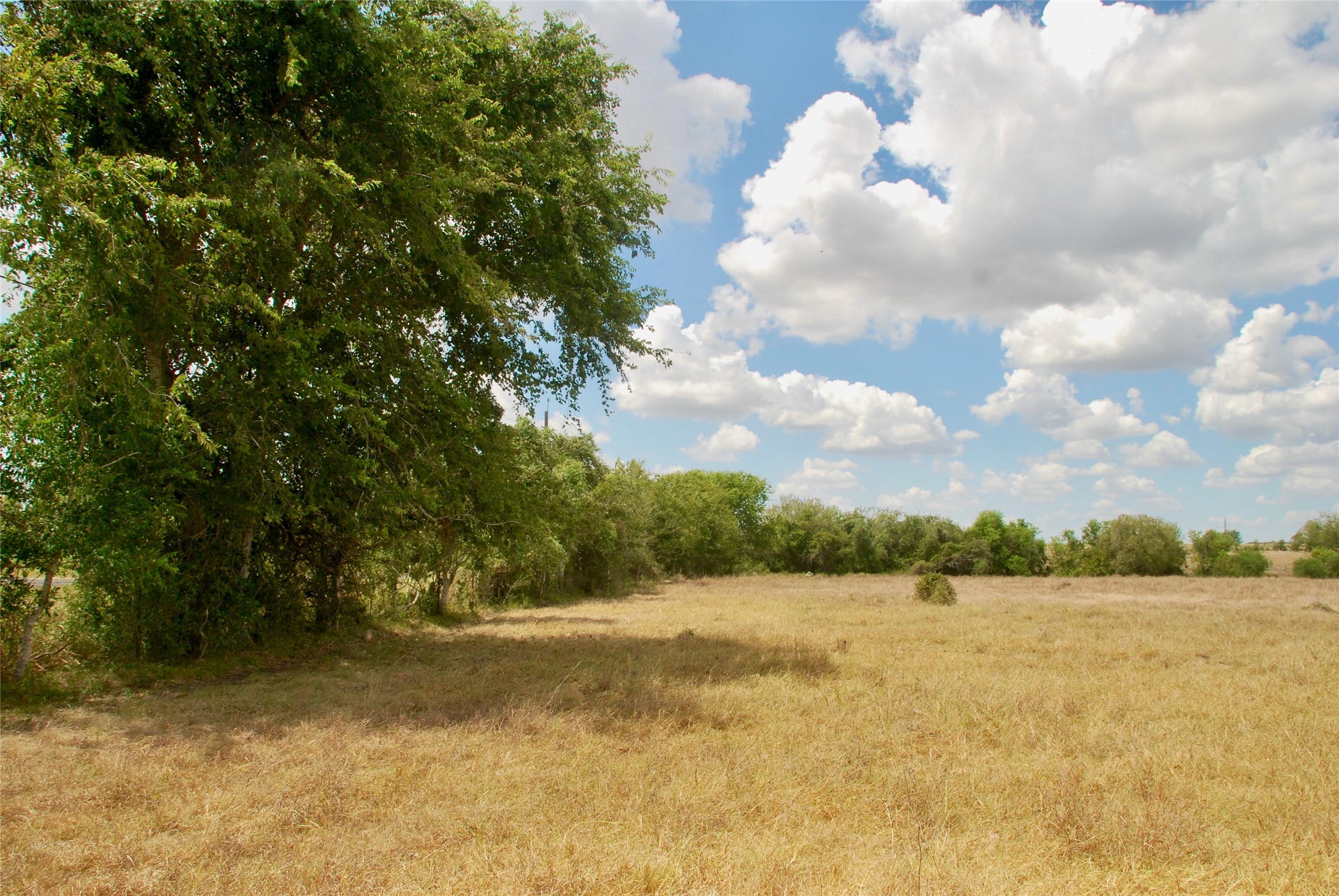 Tract 2 County Road 366 Property Photo 12