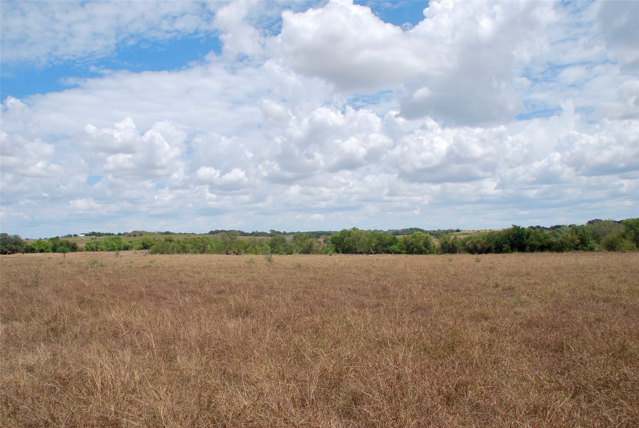 Tract 2 County Road 366 Property Photo 14