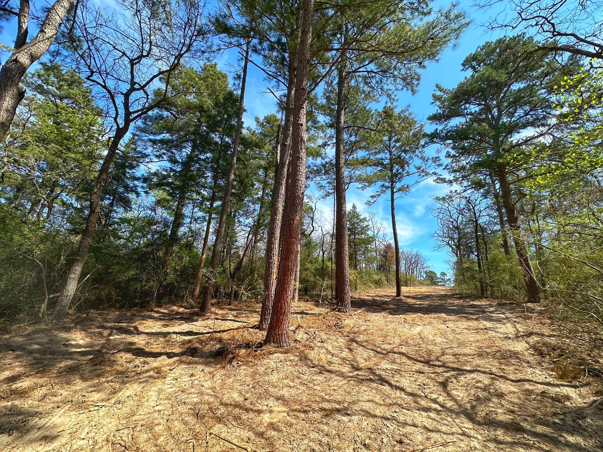Tbd Cr 292 Property Photo