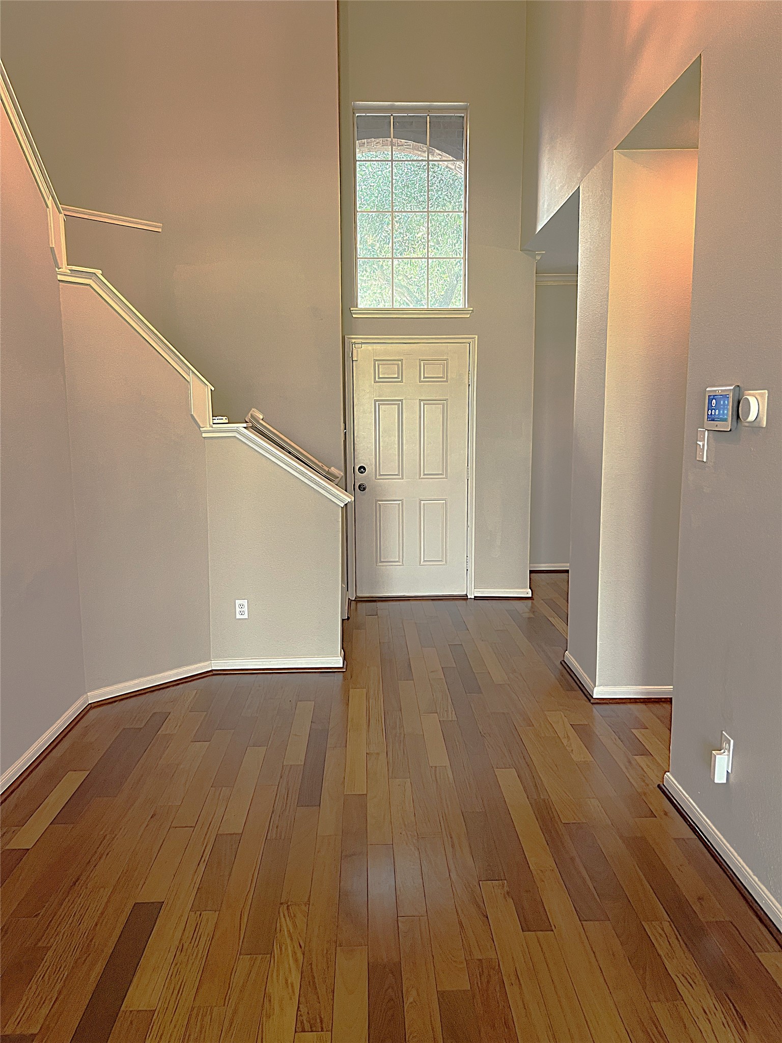 10634 Lyndon Meadows Drive Property Photo 6