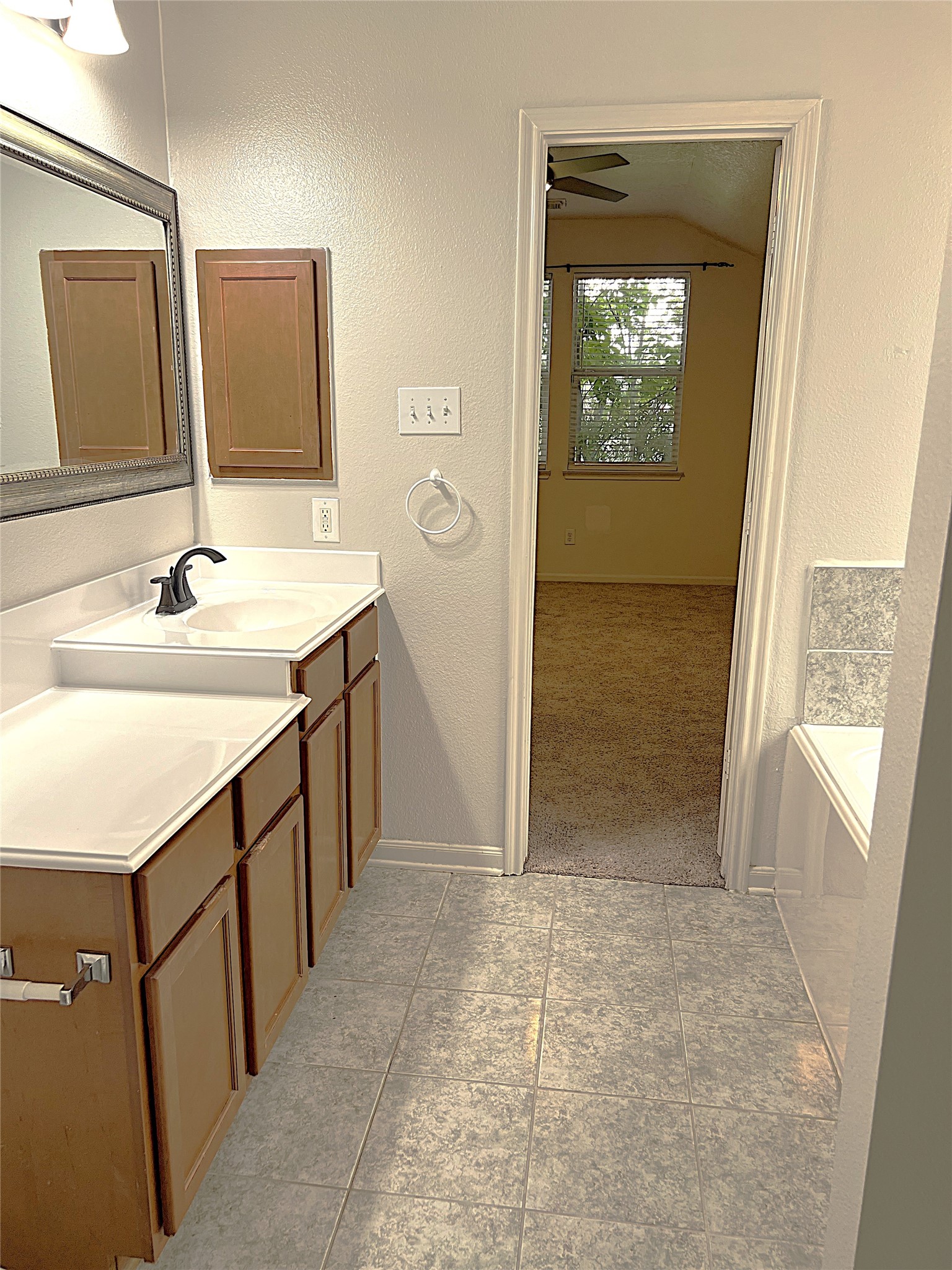 10634 Lyndon Meadows Drive Property Photo 19