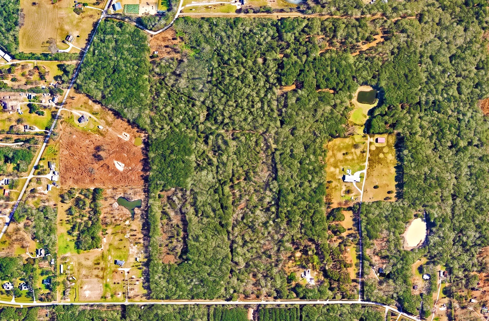 0 Daw Collins Trail Property Photo 2