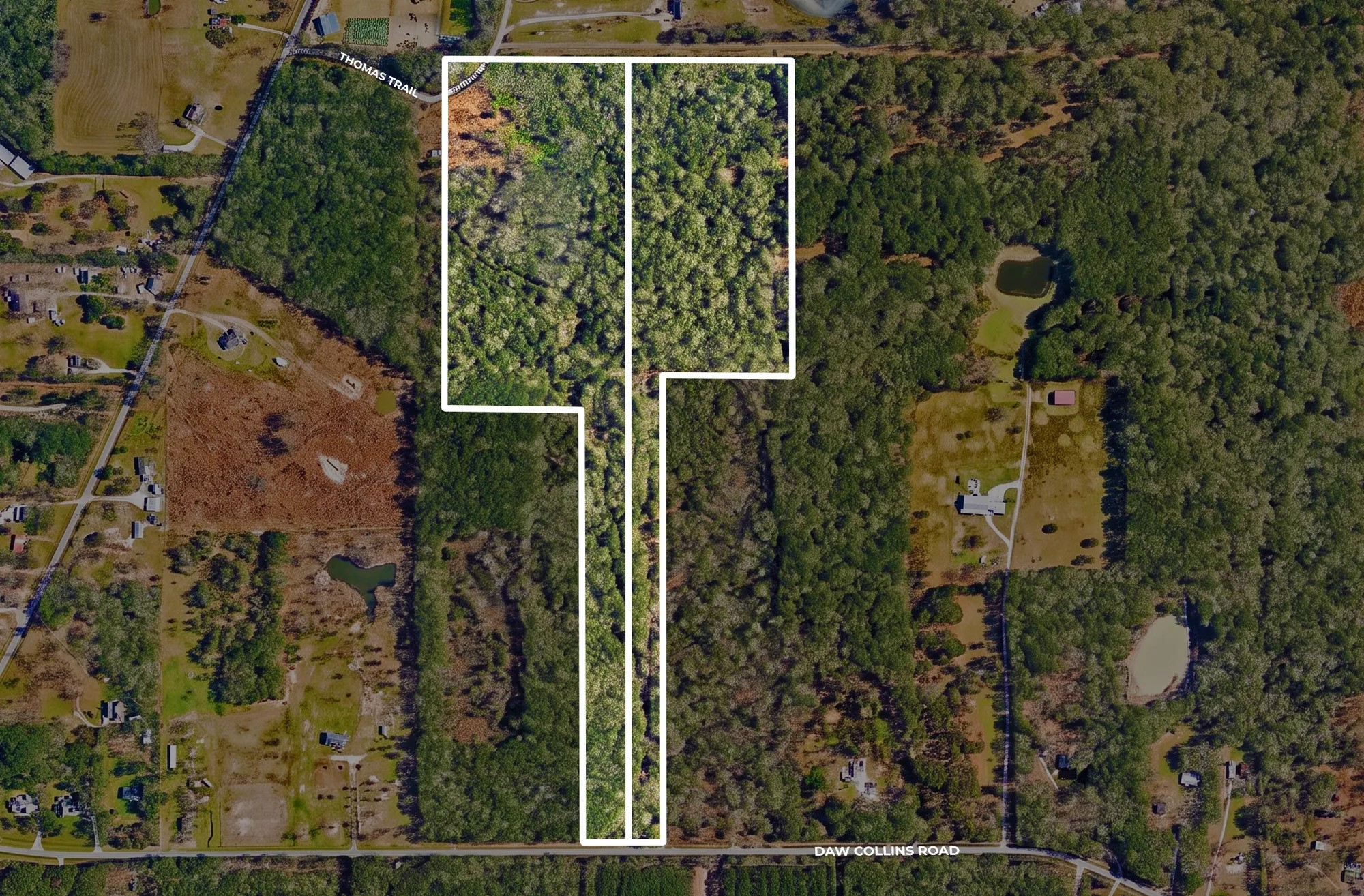 0 Daw Collins Trail Property Photo 6