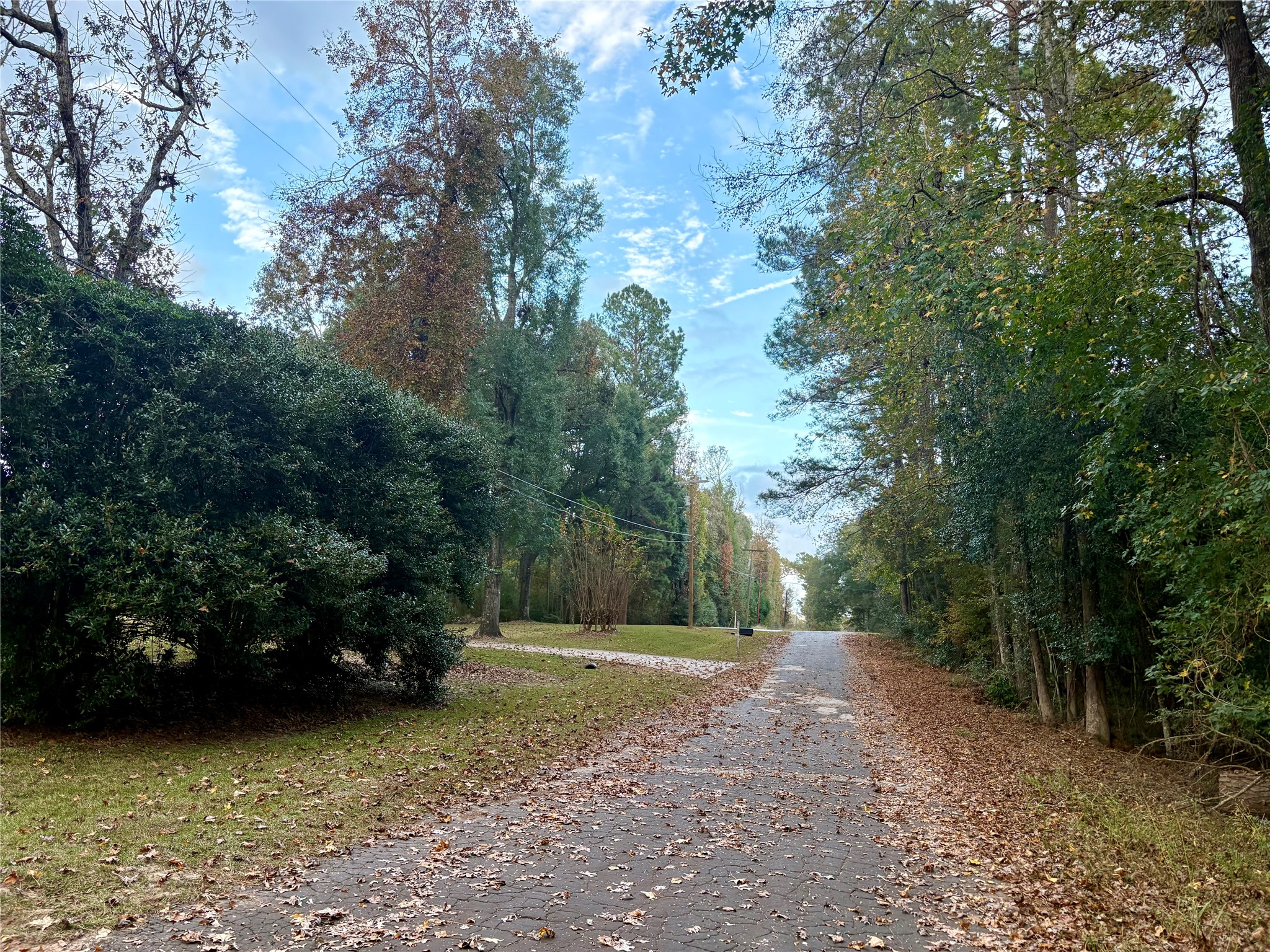 Tbd Magnolia Duke Drive Property Photo 10