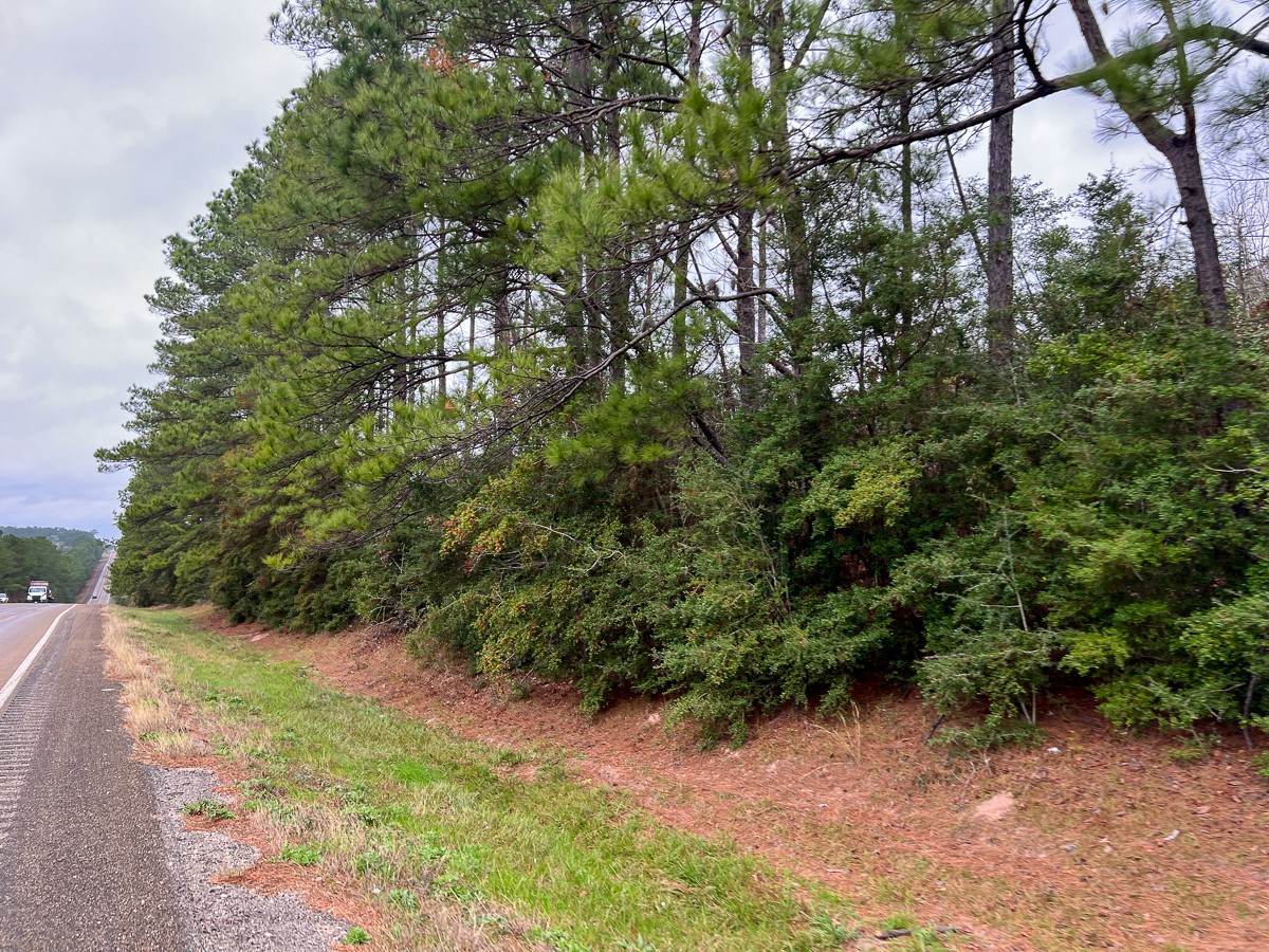 T-2 Highway 190 Property Photo 2