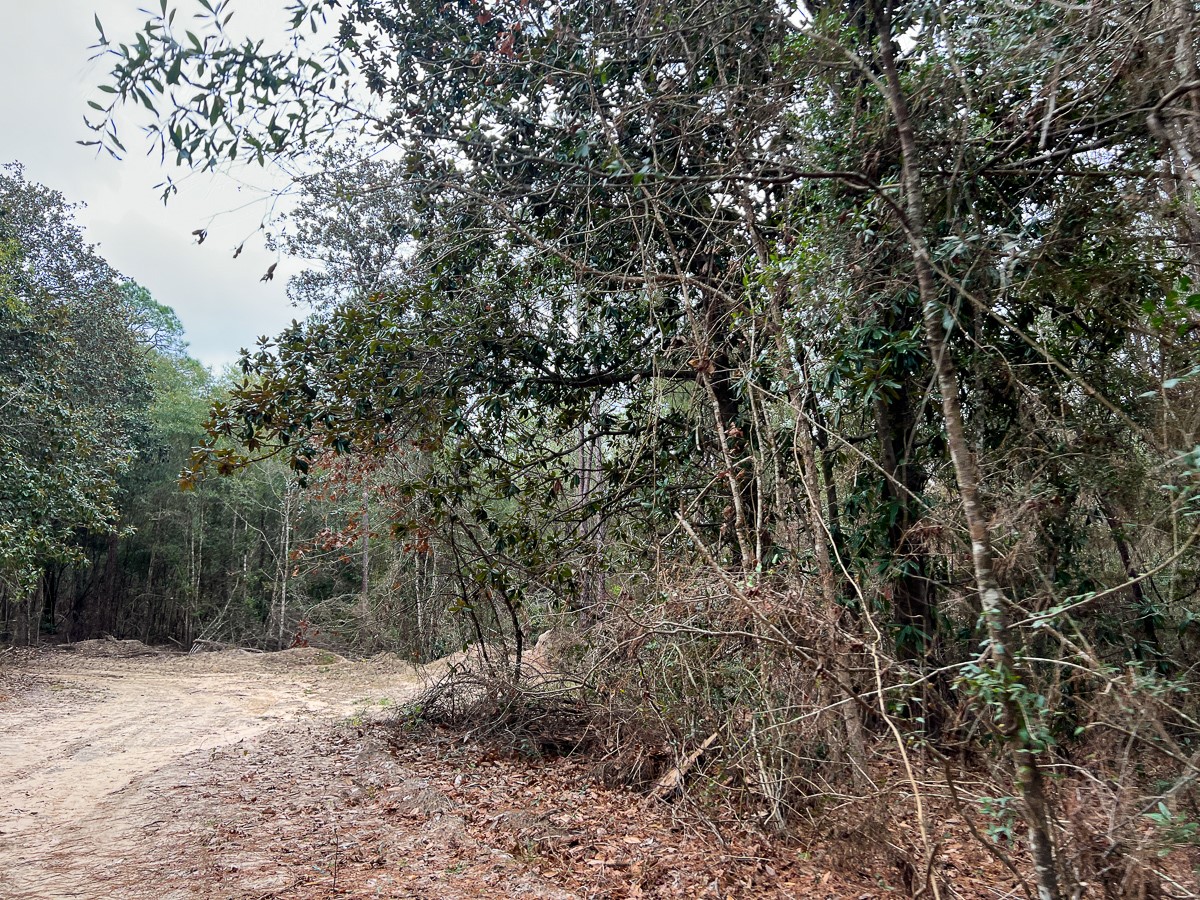 T-2 Highway 190 Property Photo 11