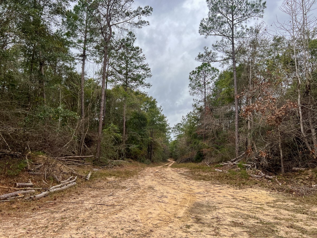 T-2 Highway 190 Property Photo 14