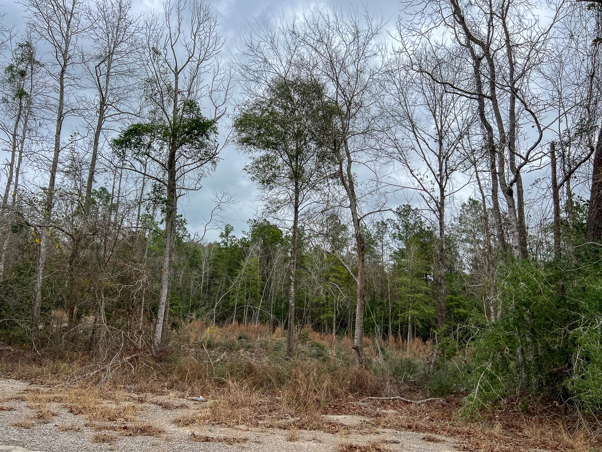 T-2 Highway 190 Property Photo 28