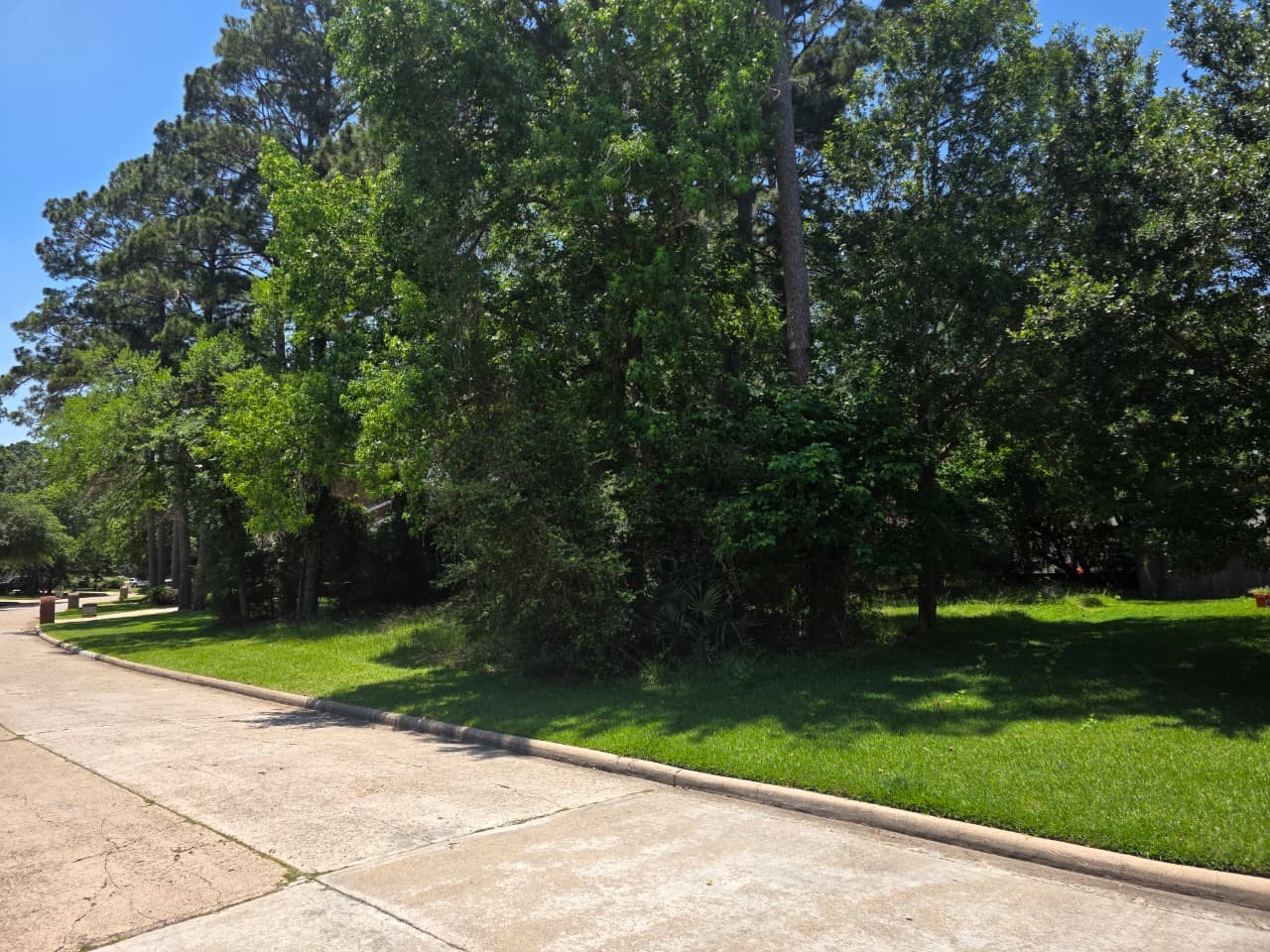 3303 Hemingway Drive Property Photo 7