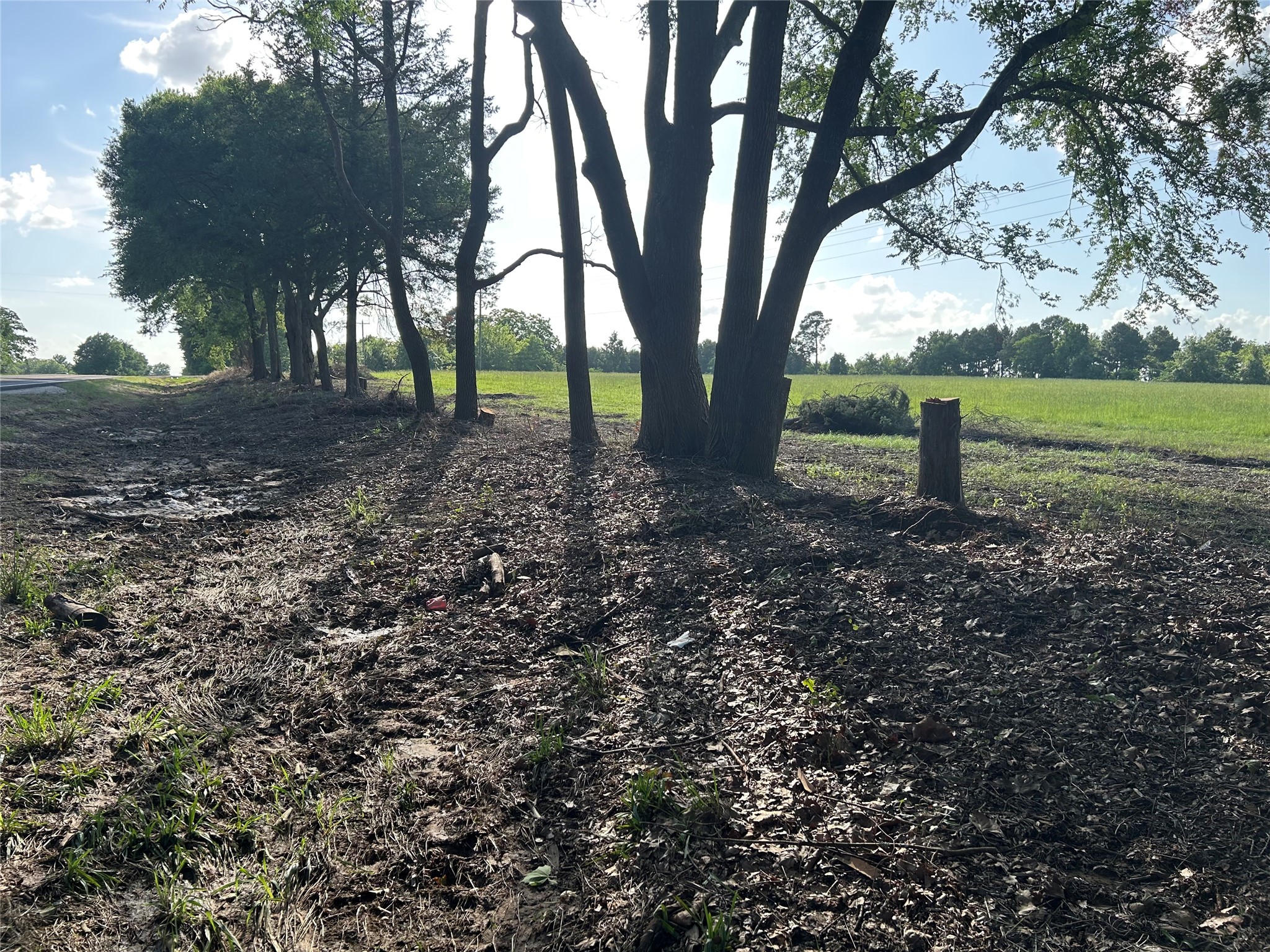 3 Highway 7 West Property Photo 3