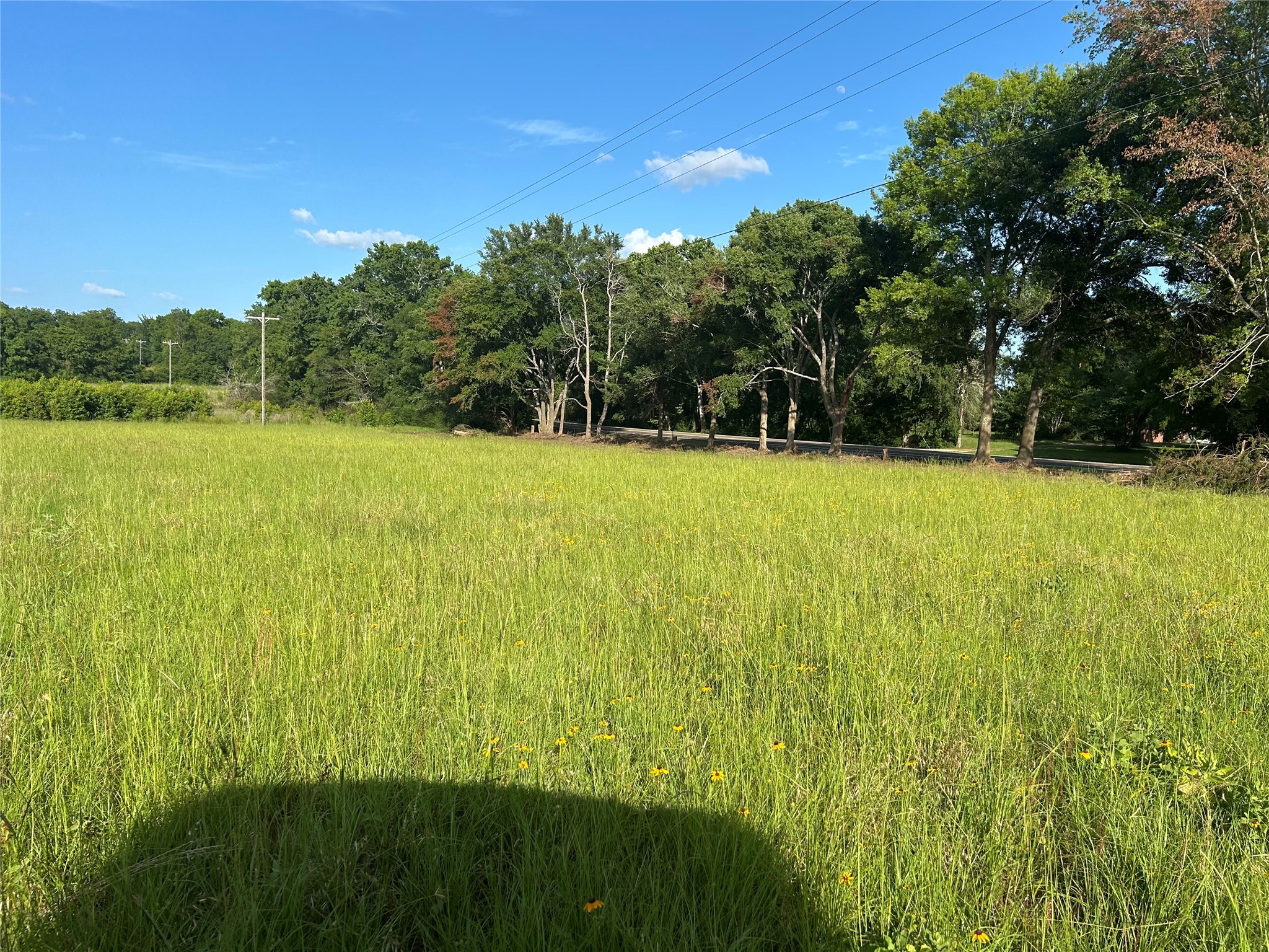 3 Highway 7 West Property Photo 7