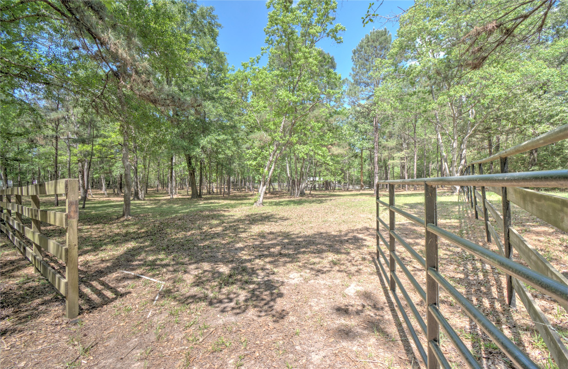 15508 Crown Oaks Drive Property Photo 38