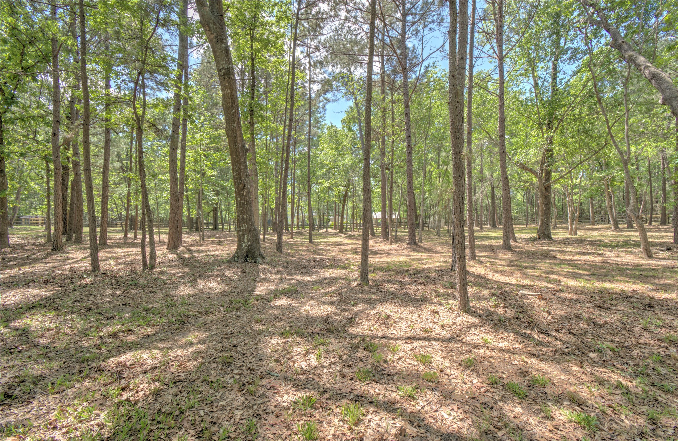 15508 Crown Oaks Drive Property Photo 39