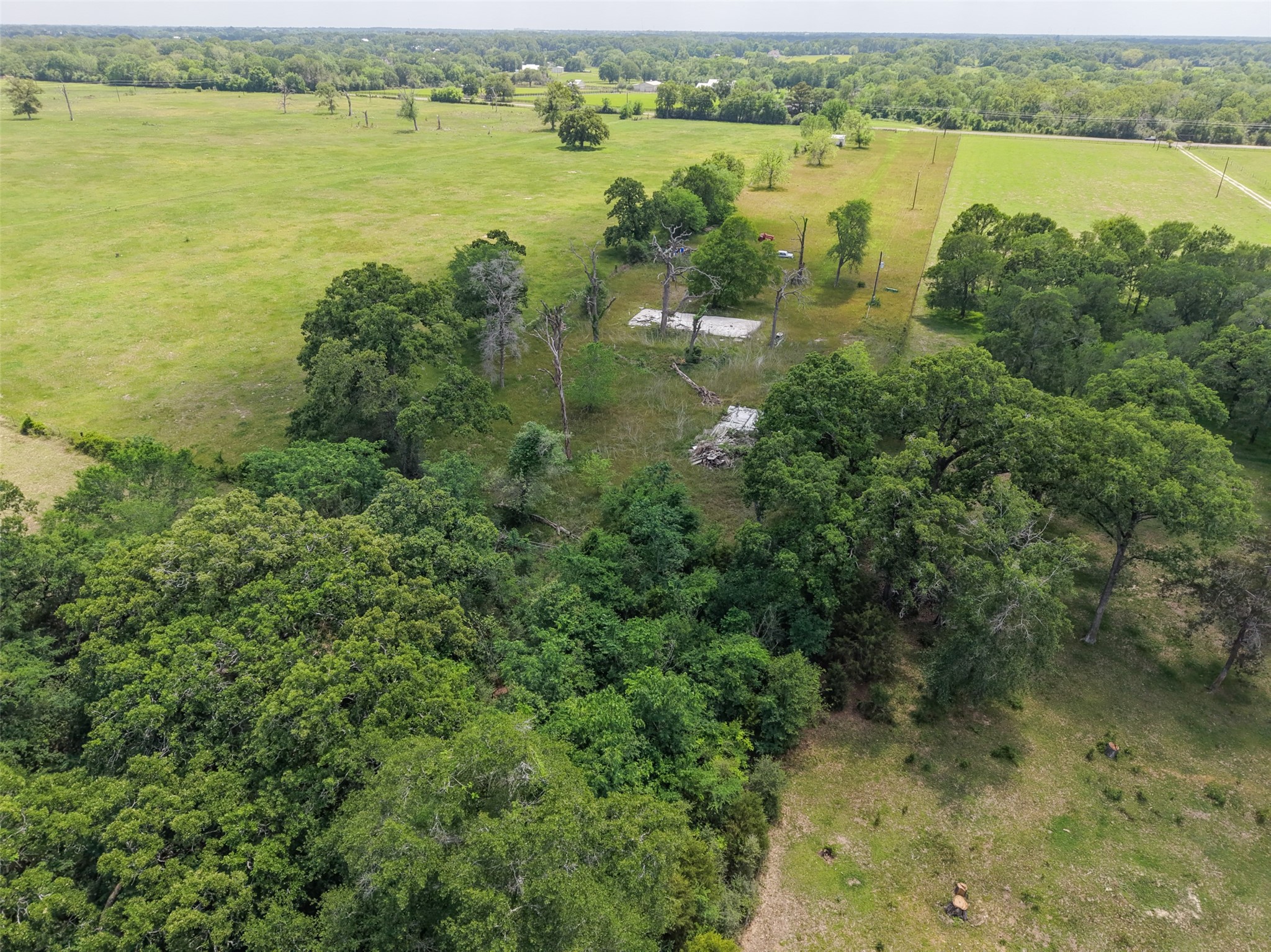 37880 Farm Market 1736 Road Property Photo 6