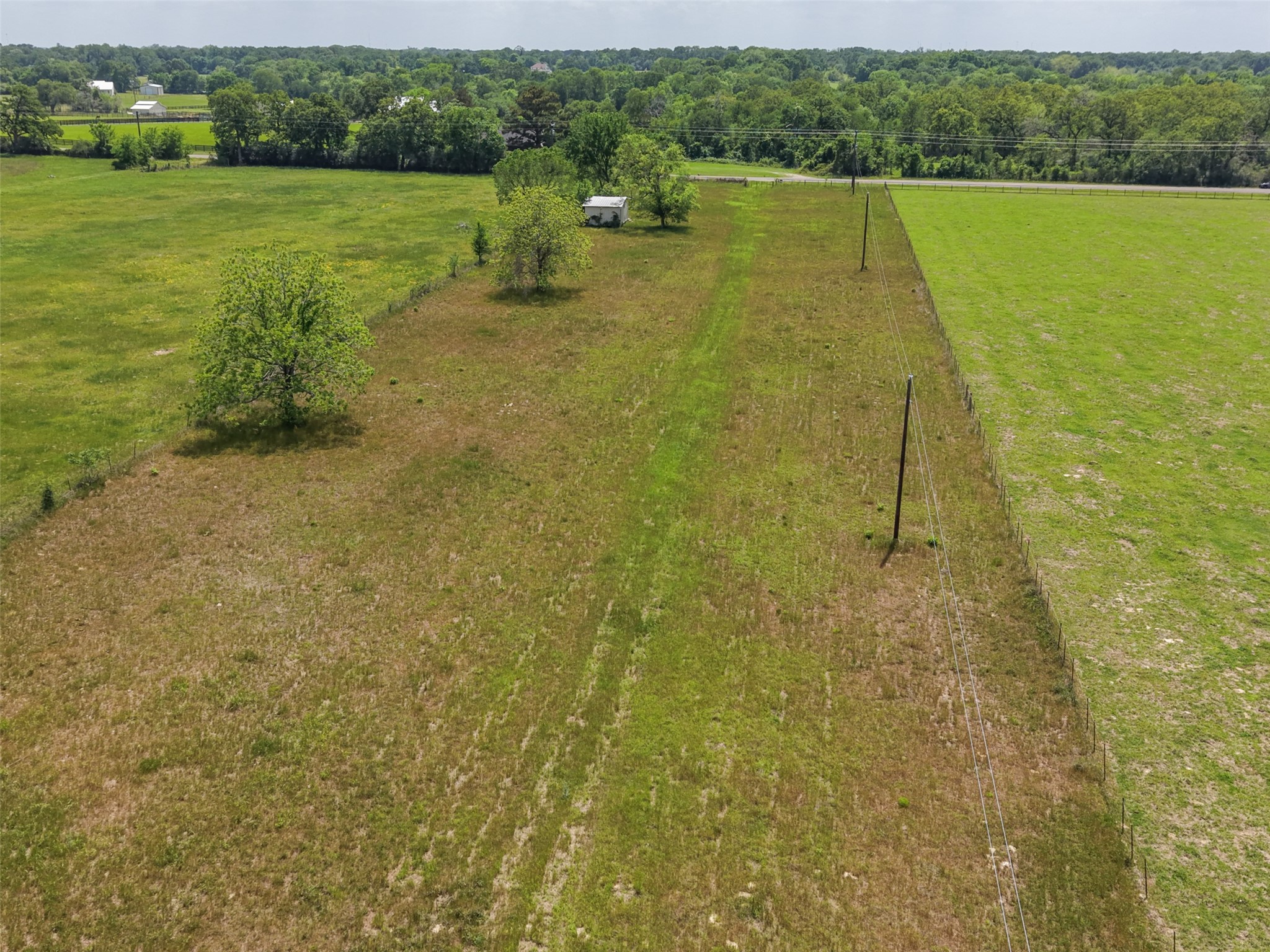 37880 Farm Market 1736 Road Property Photo 7