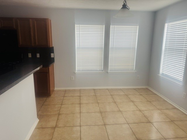 10411 Iris Lake Court Property Photo 6