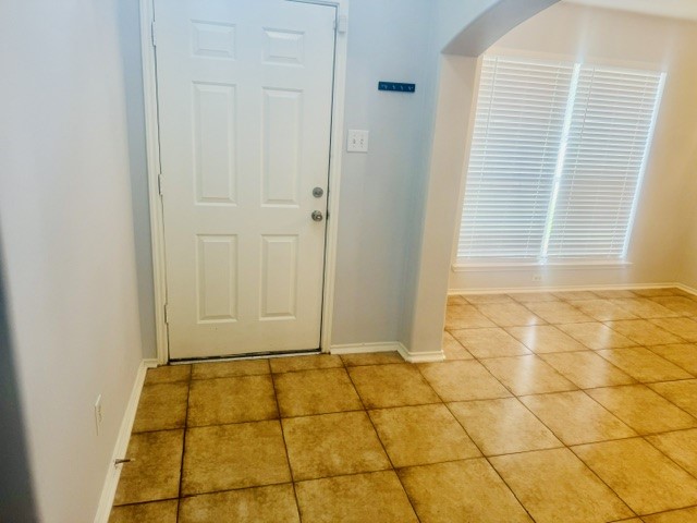 10411 Iris Lake Court Property Photo 14