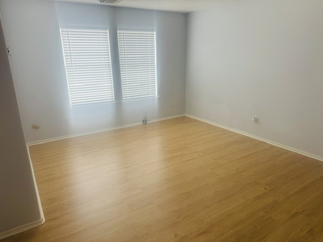 10411 Iris Lake Court Property Photo 19
