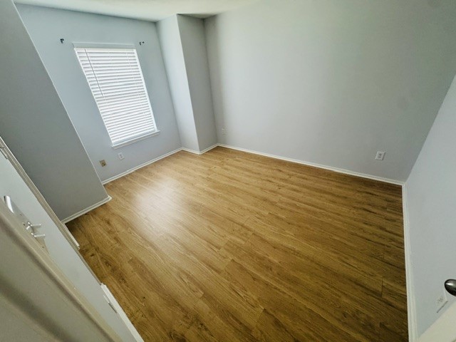 10411 Iris Lake Court Property Photo 22