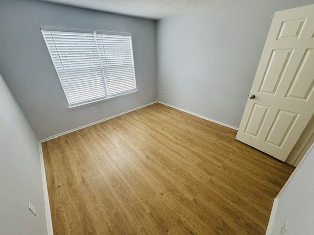 10411 Iris Lake Court Property Photo 23