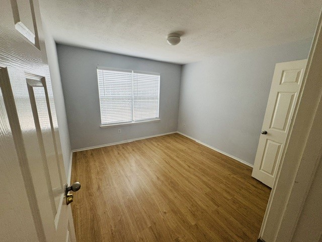 10411 Iris Lake Court Property Photo 24