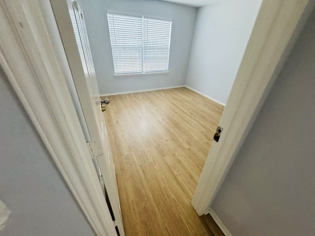 10411 Iris Lake Court Property Photo 27