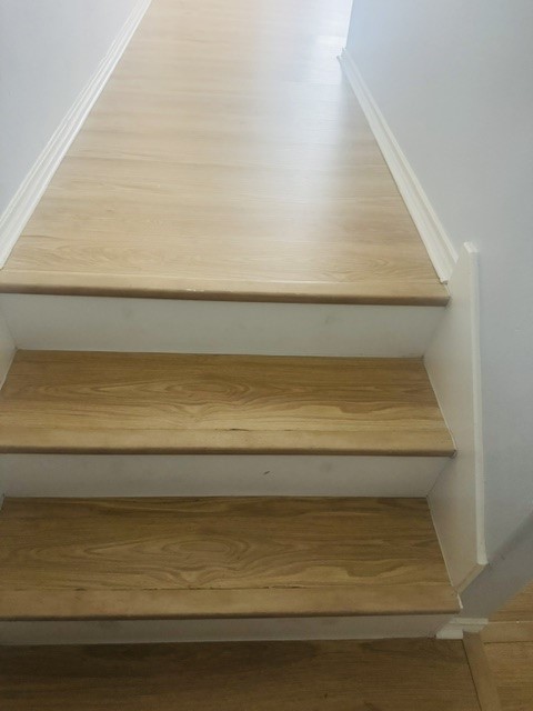 10411 Iris Lake Court Property Photo 32