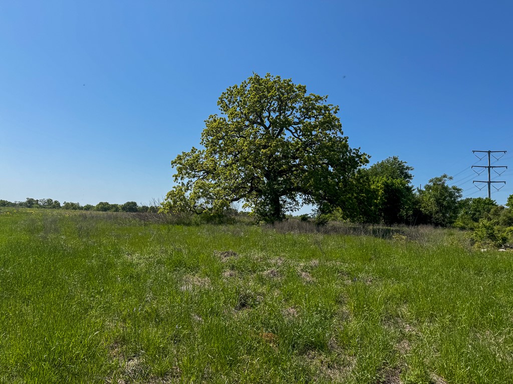 Tract # 1 County Road 123 Property Photo
