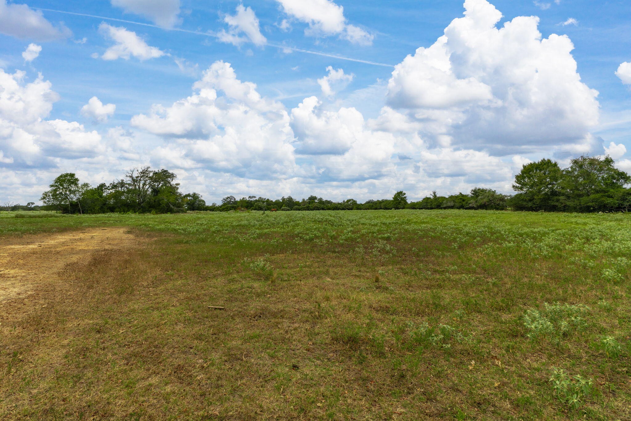 28060 Walker Road Property Photo 11