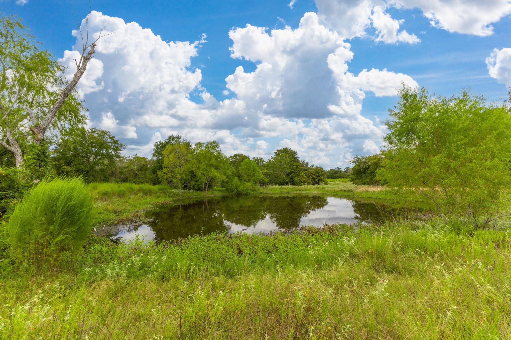 28060 Walker Road Property Photo 12