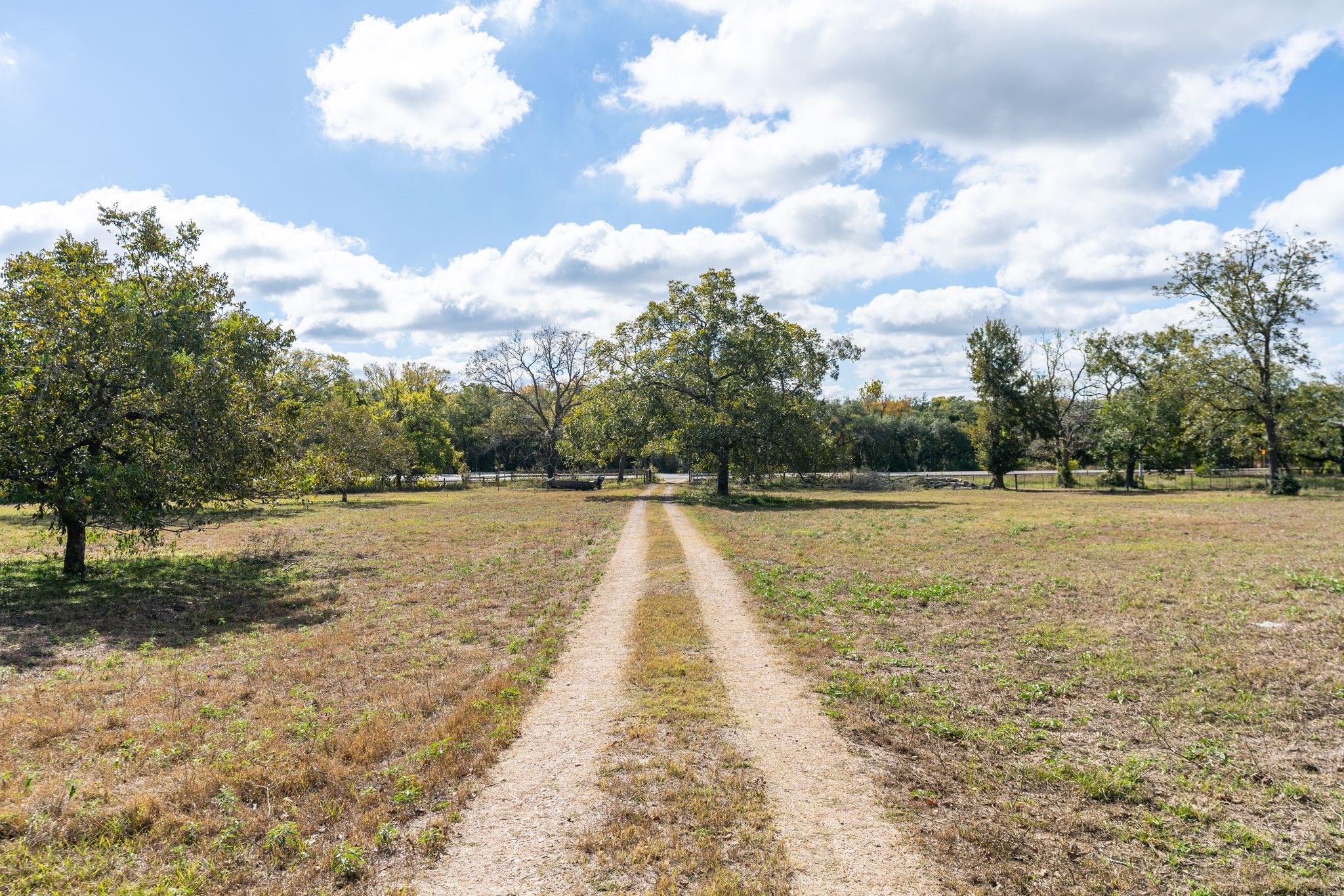 4003 State Highway 159 Property Photo 5