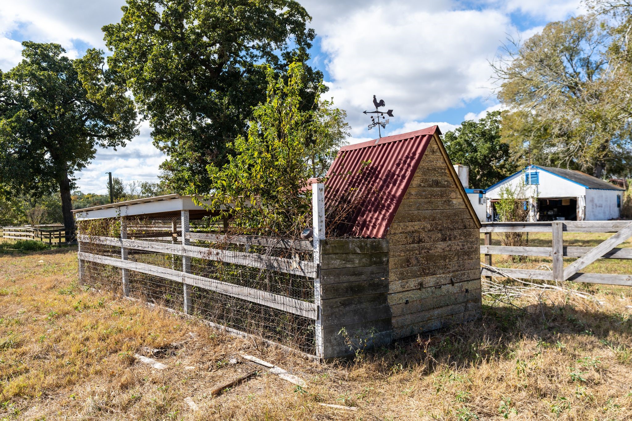 4003 State Highway 159 Property Photo 7