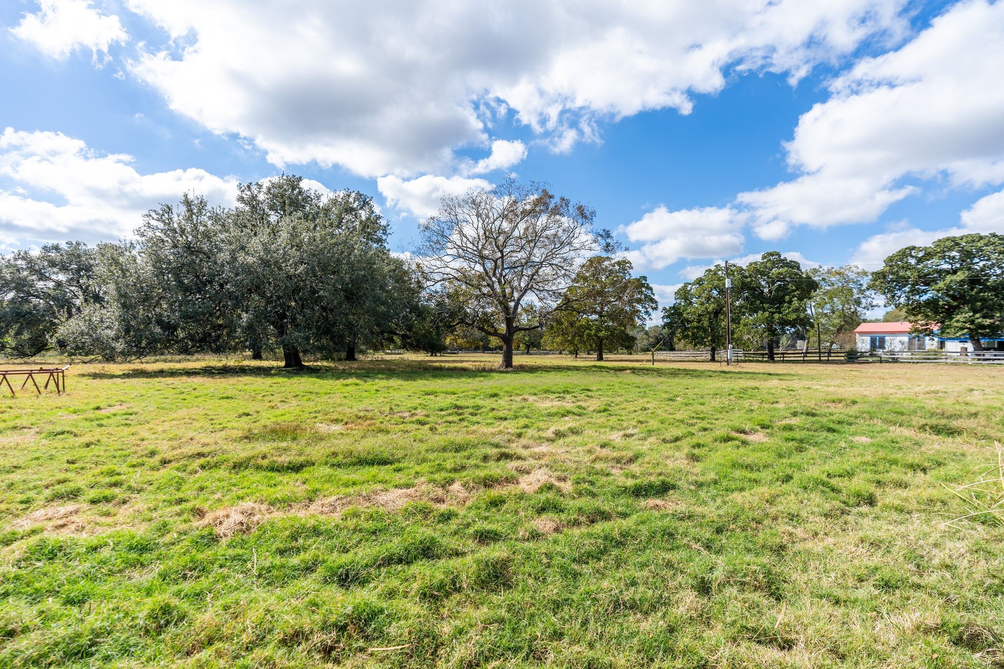 4003 State Highway 159 Property Photo 11